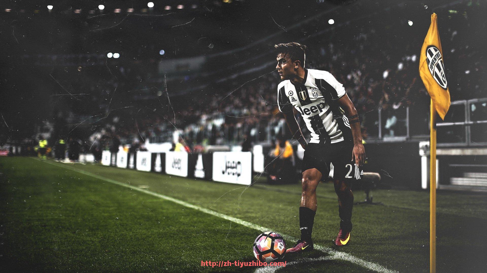 体育直播-世俱杯球鞋踝部保护结构分布与防护效果分析